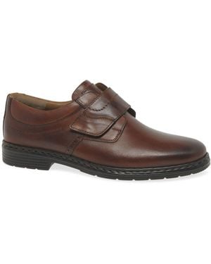 Josef Seibel Alastair 16 Riptape Shoes - Brown