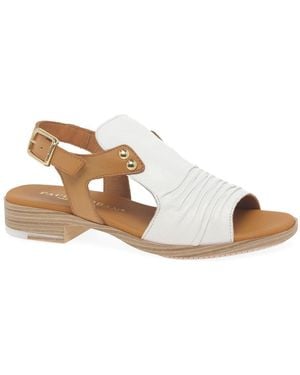 Paula Urban Coastal Buckle Fastening Sandals - Brown