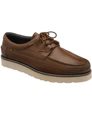 Frank Wright Weller Lace Up Shoes - Brown