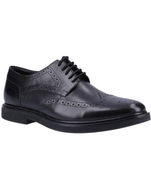 Hush Puppies Kingston Brogues - Black
