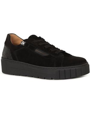 Gabor Ferry Trainers - Grey