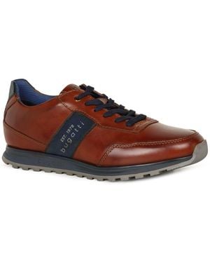 Bugatti Cellar Trainers - Brown