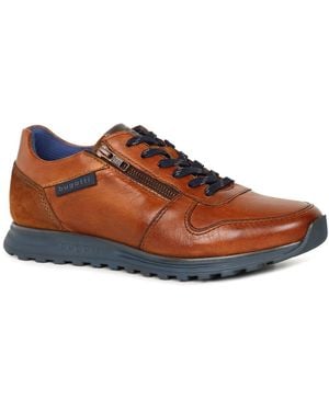 Bugatti Crome Trainers - Brown