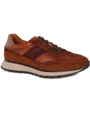 Bugatti Timon Trainers - Brown