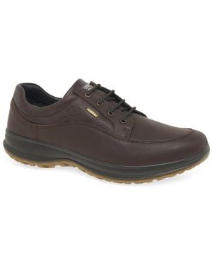 Grisport Livingston Active Shoes - Brown