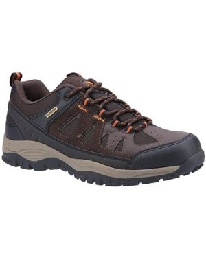 Cotswold Maisemore Low Walking Shoes - Brown