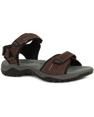 Josef Seibel Arlo 01 Sandals - Brown