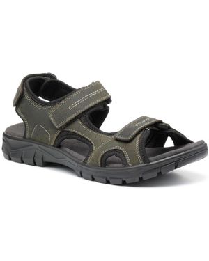 Hotter Lorenzo Sandals - Brown