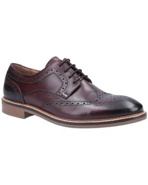 Hush Puppies Bryson Brogues - Brown