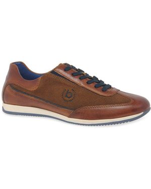 Bugatti Torre Trainers - Brown