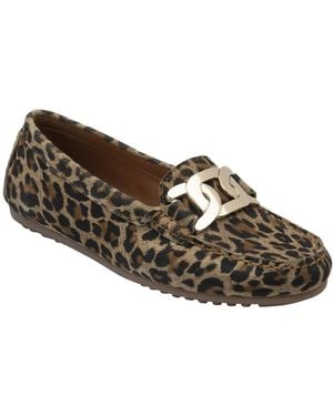 Lotus Martino Loafers - Brown