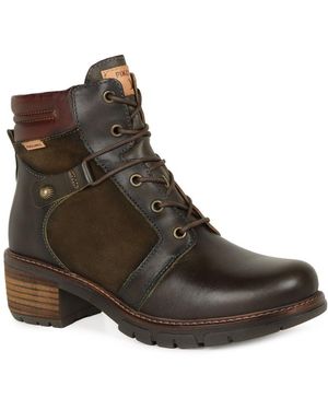 Pikolinos Sadie Ankle Boots - Brown
