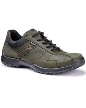 Hotter Thor Ii Gtx Walking Shoes - Black