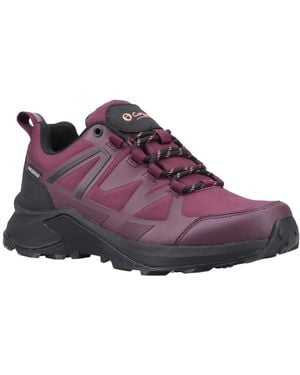 Cotswold Horton Low Walking Shoes - Purple