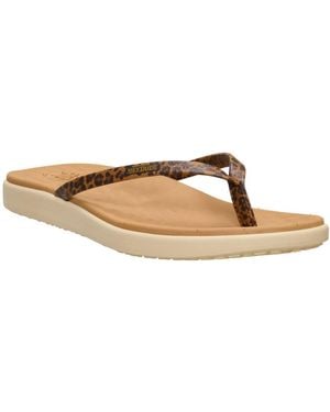 HEYDUDE Maui Breeze Flip Sandals - Brown