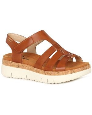 Pikolinos Palma Sandals - Brown