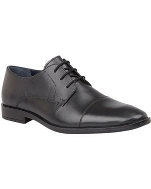 Lotus Euston Derby Shoes - Black