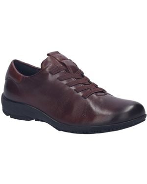 Josef Seibel Charlotte 01 Lace Up Shoes - Purple