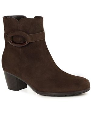 Gabor Equity Ankle Boots - Brown