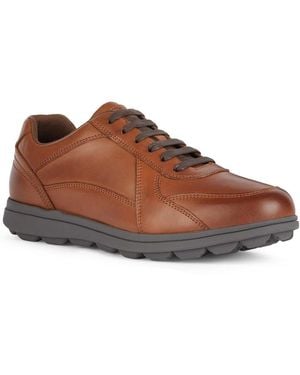 Geox U Spherica Ec12 Shoes - Brown