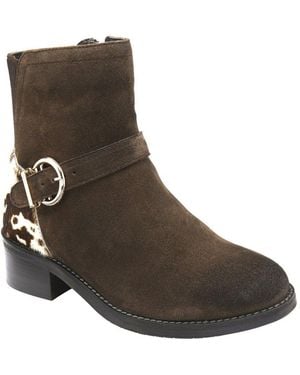 Lotus Trella Ankle Boots - Brown
