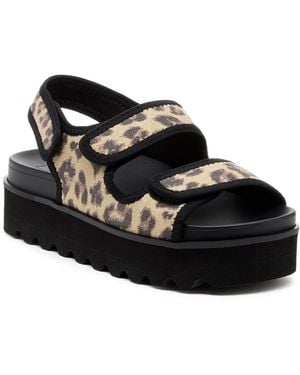 Rocket Dog Balmy Dexter Sandals - Black