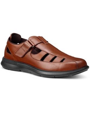 Hotter Marlin Shoes - Brown