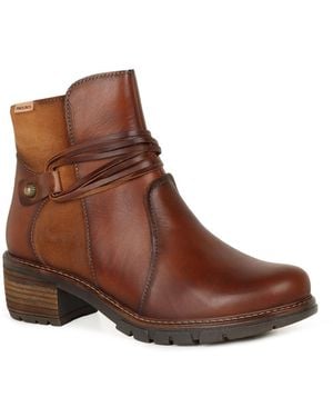 Pikolinos Suzy Ankle Boots - Brown