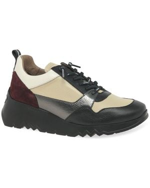 Wonders Suki Trainers - Brown