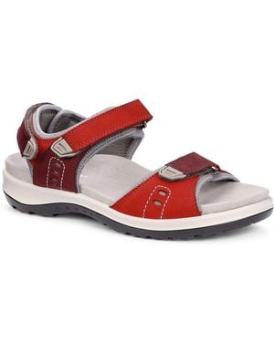 Hotter Walk Ii Sandals - Red