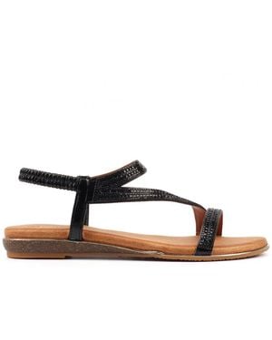 Lunar (GRS) Blaise Ii Sandals - Brown
