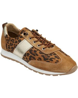 Lotus Lola Trainers - Brown