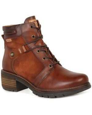 Pikolinos Sadie Ankle Boots - Brown