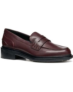 Geox D Walk Pleasure F Moccasins - Brown