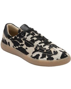 Lotus Frapporta Trainers - Black