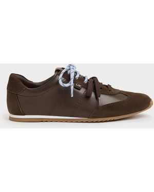 Charles & Keith Jace Leather & Suede Trainers - Brown