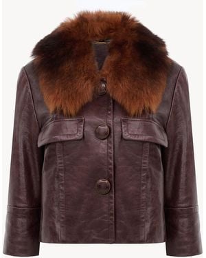 Chloé Cropped Jacket - Brown