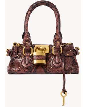 Chloé Borsa Paddington Piccola - Marrone