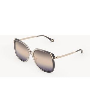 Chloé Gafas De Sol Aly Oro 100% Acetato - Neutro