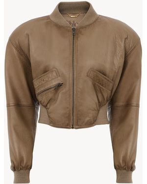 Chloé Cropped Blouson - Brown