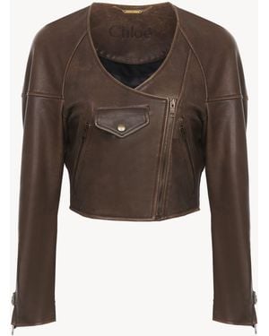 Chloé Giacca Corta - Marrone