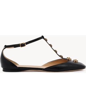 Chloé Celeste Ballerina - Black