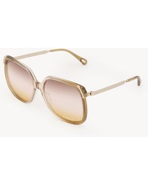 Chloé Gafas De Sol Aly Oro 100% Acetato - Neutro