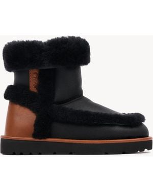 Chloé Dolcie Ankle Boot - Black