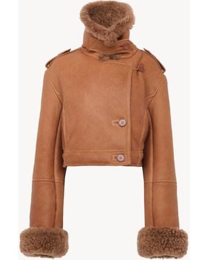 Chloé Cropped Boxy Jacket - Brown