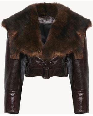 Chloé Cropped Fitted Jacket - Black