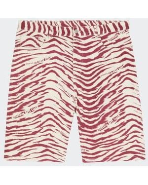 BBCICECREAM Short - Rouge