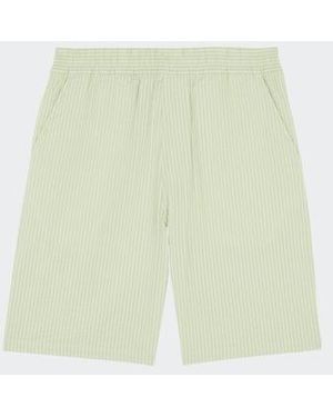 Carhartt Short - Vert
