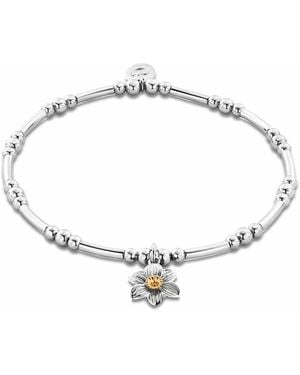 Clogau Nature's Wonder Sterling Daffodil Affinity Bracelet - Metallic