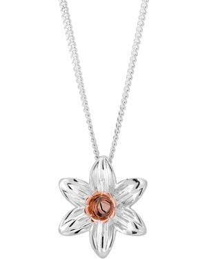 Clogau Nature's Wonder Sterling Daffodil Pendant - White